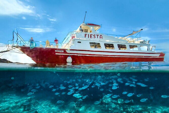 Full day boat tour transfers & lunch included - FAQ