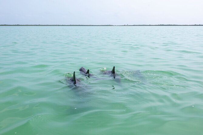 Full Day Boat Tour with Open Bar and Lunch in Riviera Maya - The Sum Up: Is This Tour Right for You?