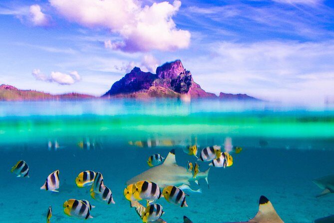 Full-Day Bora Bora Lagoon Cruise Including Snorkeling with Sharks and Stingrays - Key Points