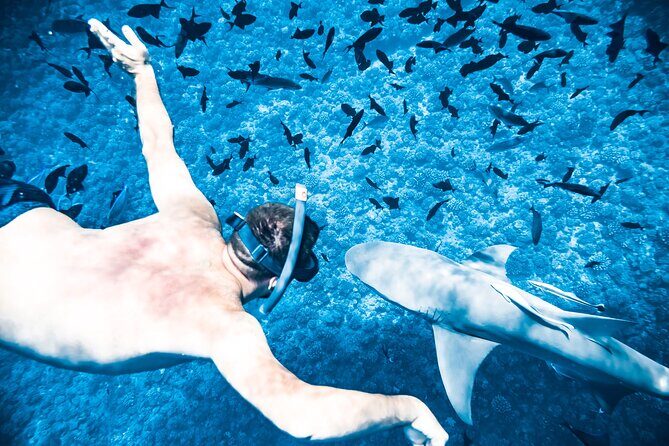 Full-Day Bora Bora Lagoon Cruise Including Snorkeling with Sharks and Stingrays - Practical Details and Considerations