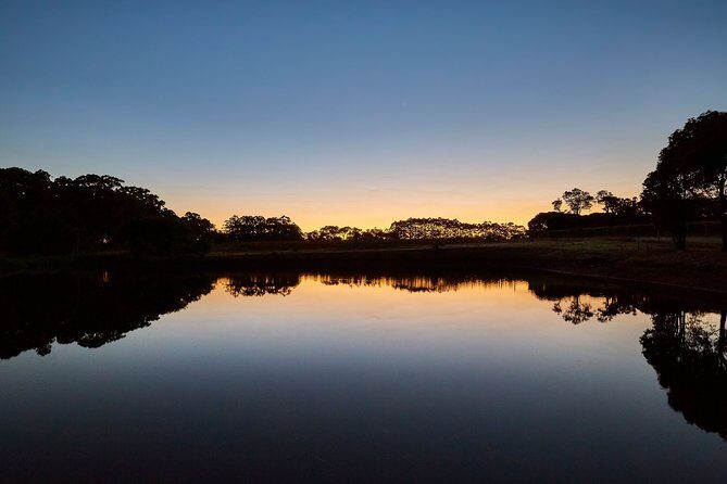 Full-Day Boutique Wine Tour with Pick Up and Lunch - Practical Tips