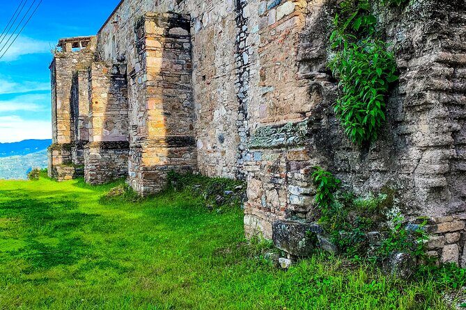 Full Day Bromeliad Forest Tour from Oaxaca - The Sum Up: Who Should Consider This Tour?