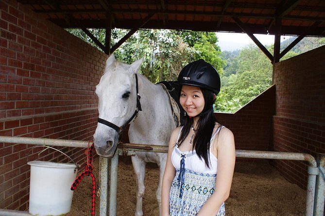 Full-day Bukit Tinggi French Village Tour - FAQs
