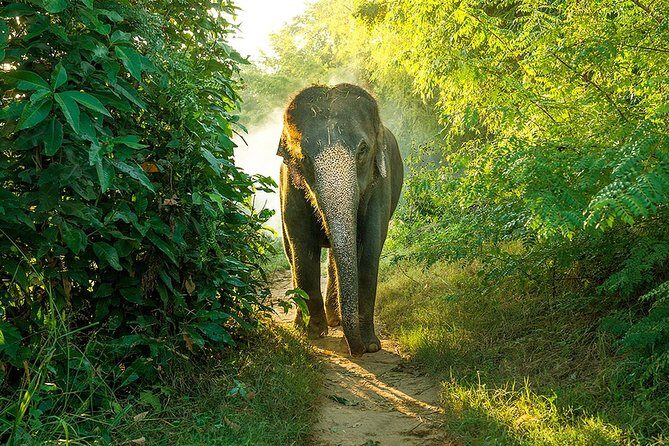 Full Day Bundala Safari with Picnic Lunch from Hambantota Harbour - Final Thoughts