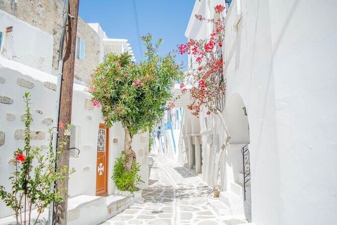 Full Day Bus Tour in Paros and Antiparos Islands from Paros - FAQs