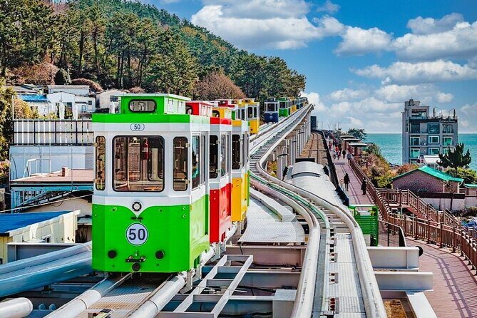 Full-Day Busan Highlights Private Guided Tour - What the Tour Means for You