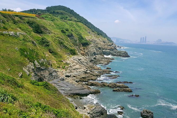 Full Day Busan Tour Including Haedong Yonggungsa Temple - Introduction: A Balanced Look at the Busan Full-Day Tour