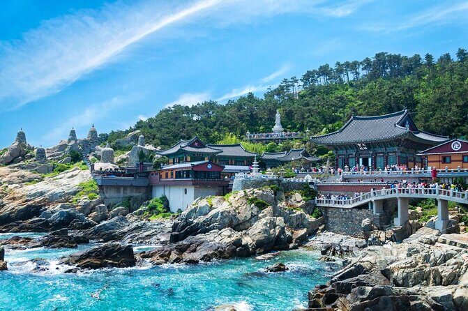Full Day Busan Tour Including Haedong Yonggungsa Temple - Practical Aspects and Value