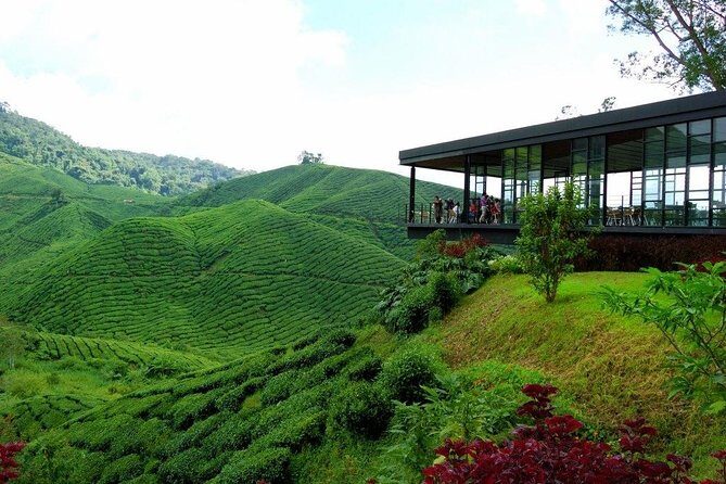 Full-Day Cameron Highlands & Batu caves Tour - Final Thoughts