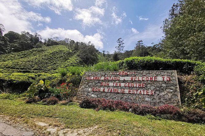 Full-day Cameron Highlands Day Trip from Kuala Lumpur - Who Should Consider This Tour?
