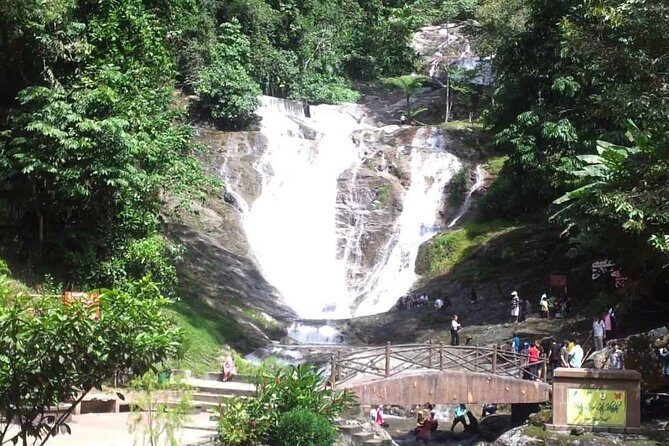 Full-day Cameron Highlands Day Trip from Kuala Lumpur - The Sum Up