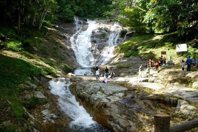 Full-day Cameron Highlands Tour - The Value and Practicality of the Tour