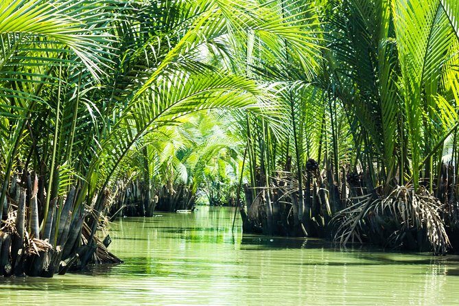 Full-day Can Gio Eco Escape And Wildlife Discovery - The Journey Begins: From Ho Chi Minh City to the Natural Sanctuary