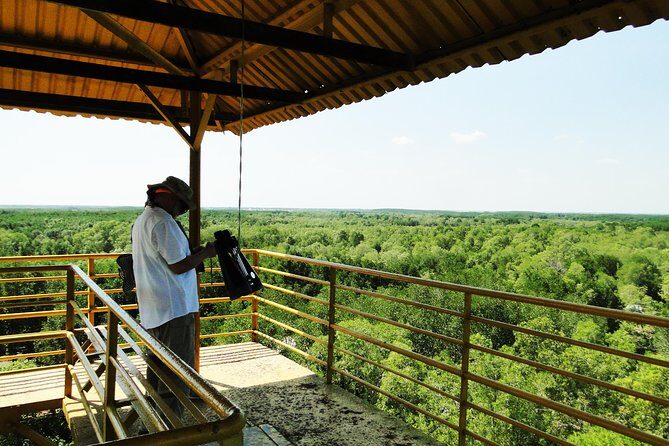 Full-day Can Gio Eco Escape And Wildlife Discovery - Monkey Island, Museum, and Mangrove Conservation