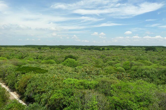 Full-day Can Gio Eco Escape And Wildlife Discovery - Practicalities and Value
