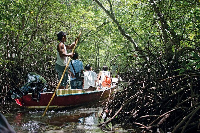 Full-Day Can Gio Mangrove Private Guided Forest Exploration - An In-Depth Look at the Full-Day Can Gio Mangrove Tour