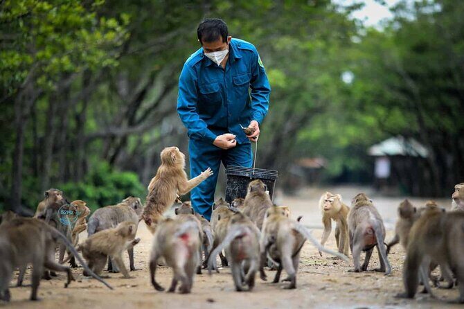 Full-Day Can Gio Mangrove Private Guided Forest Exploration - FAQs