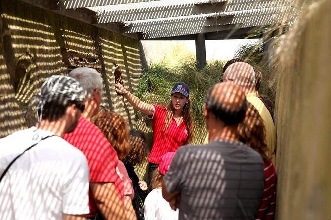 Full-Day Canadian Battlefields and sites Normandy Tour - Analyzing the Experience: What to Expect