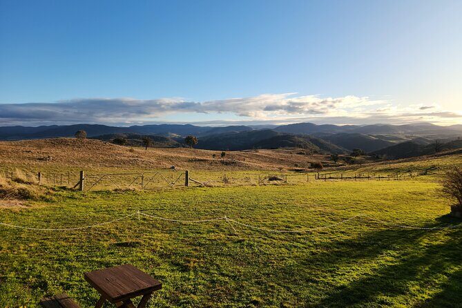 Full-Day Canberra Brewery, Wineries & Distillery tour /w lunch - FAQ: Your Questions Answered