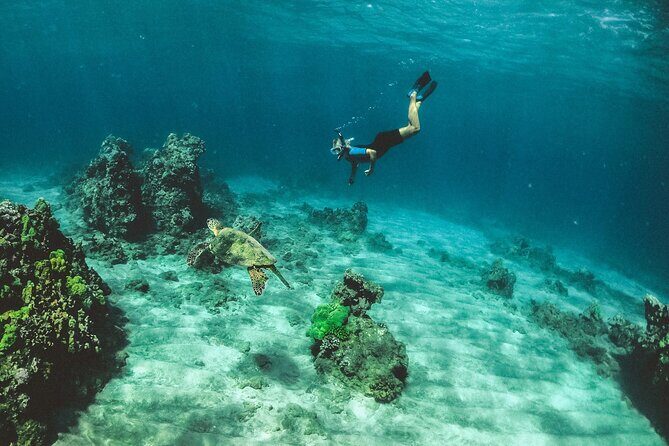 Full Day Cancun ATV Zipline and Cenote Adventure with Snorkeling - Key Points