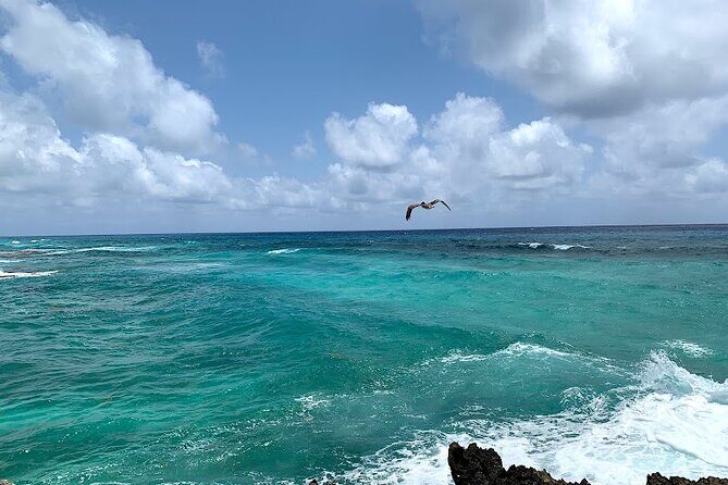 Full-Day Catamaran Cozumel Tour with Sky Snorkeling - The Itinerary in Detail