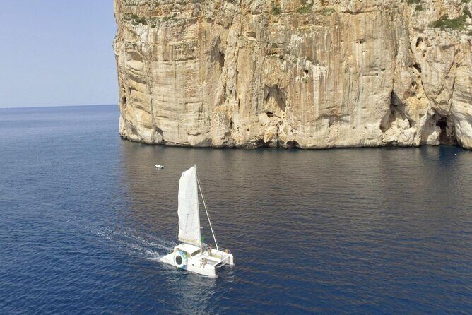 Full day Catamaran cruise in Porto Conte Natural Park - Who Should Consider This Tour?