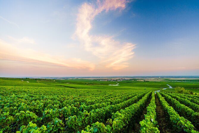 Full Day Champagne Pommery Small Group Tour - FAQ