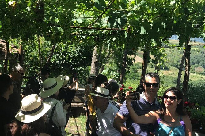 Full-Day Chianti Tour by Vespa Scooter from San Gimignano - Authentic Experiences and Hidden Insights