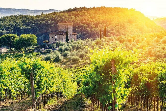 Full-Day Chianti Tour by Vespa Scooter from San Gimignano - Concluding Thoughts: Who Will Love This Tour?