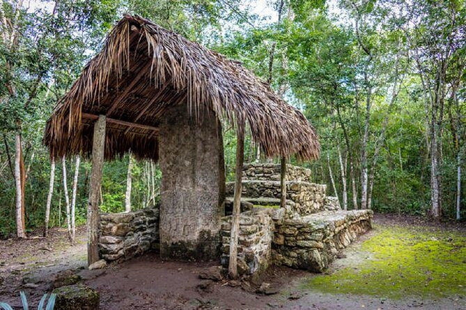 Full Day Coba Maya Ruins Tour with Lunch and Cenote Swim - The Practical Details: Transportation, Group Size, and Cost