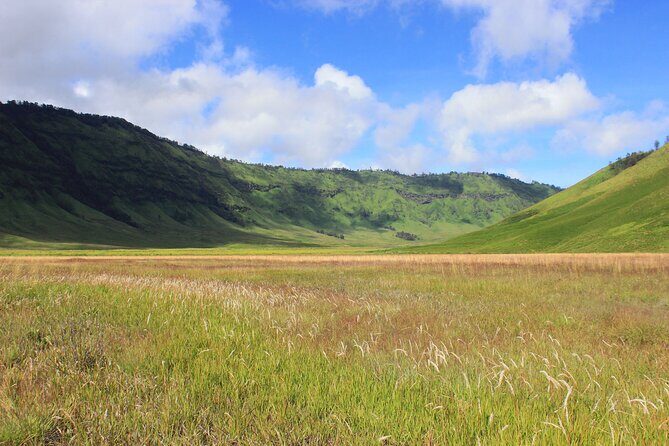Full Day Comfort Private Bromo Tour - What Travelers Should Keep in Mind