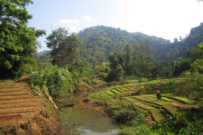 Full Day Crossing the Bolaven Plateau - FAQ