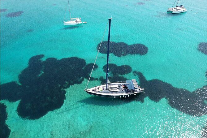 Full day cruise Aigina|Moni|Agkistri with traditional Greek feast - Final Thoughts