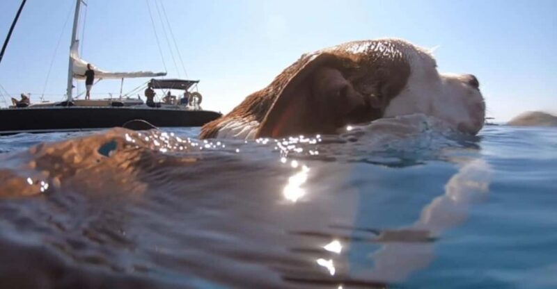 Full Day Cruise in Athenian Riviera - An In-Depth Look at the Full Day Cruise Experience