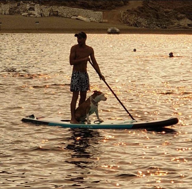 Full Day Cruise in Athenian Riviera - Final Thoughts