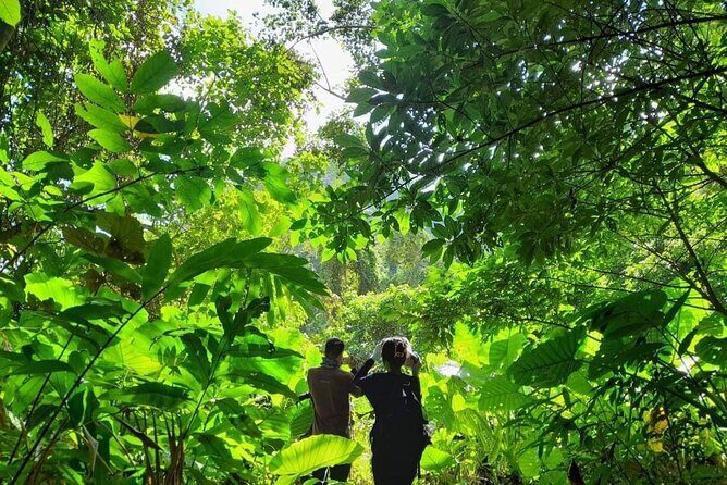 Full-Day Cuc Phuong National Park Hiking Tour - Who Is This Tour Best For?
