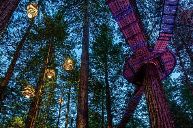 Full Day Customisable Tour with Driver & Luxury Car Unlimited Kms - Who Would Love This?