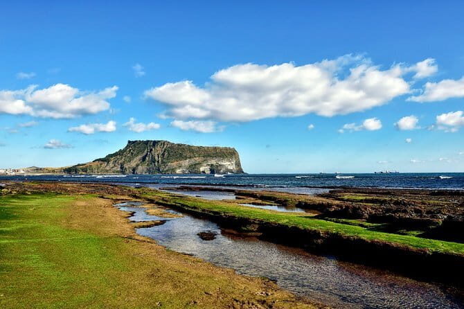 Full Day Customizable Jeju Private Tour with licensed tour guide - Key Points