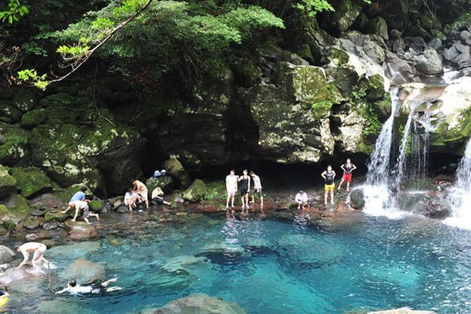 Full Day Customizable Jeju Private Tour with licensed tour guide - Who Should Consider This Tour?