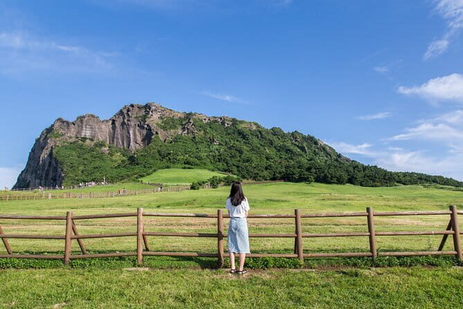 Full-day Customizable Private Jeju Island Tour - Key Points