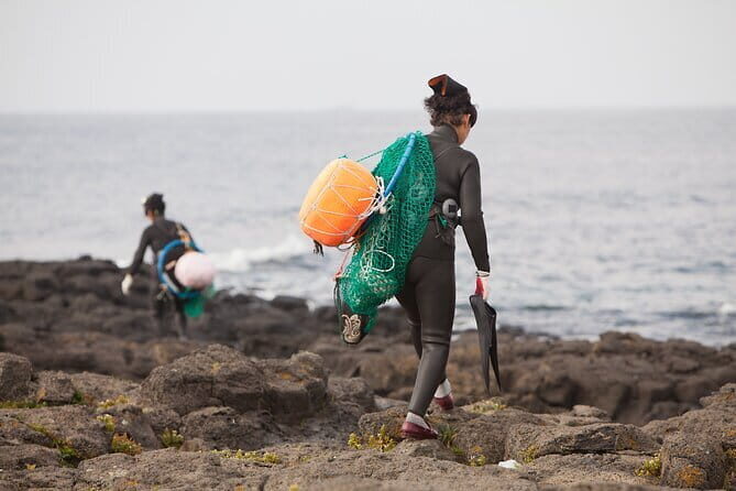 Full-day Customizable Private Jeju Island Tour - FAQ