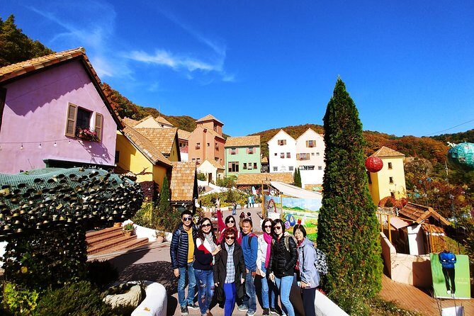 Full-Day Customizable Private Tour to Nami Island and surrounding Area - An In-Depth Look at the Tour Experience