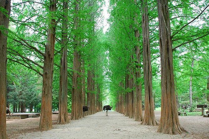 Full-Day Customizable Private Tour to Nami Island and surrounding Area - Final Thoughts