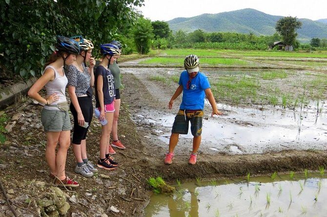 Full-Day Cycle and Kayak trip in Sri Lanna National Park - What’s Included and What to Consider