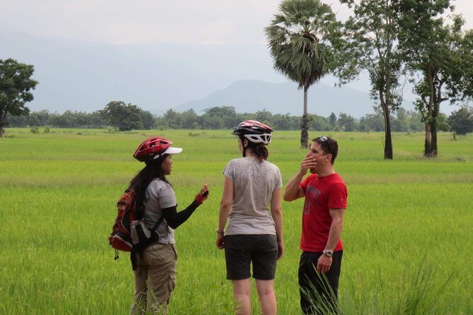 Full Day Cycling tour to Sukhothai Historical Park - Practical Tips for Your Ride