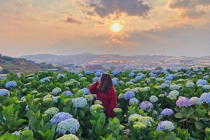Full day Dalat highlights tour - Key Points