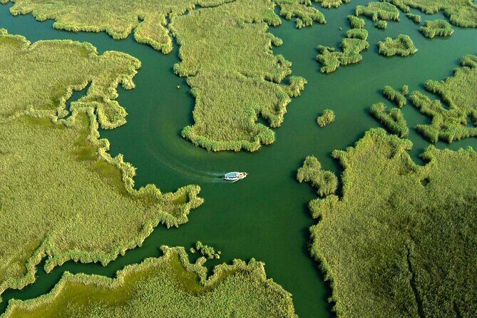 Full Day Dalyan (Turtle Beach) From Bodrum - Discover the Charm of Dalyan on a Full-Day Tour from Bodrum