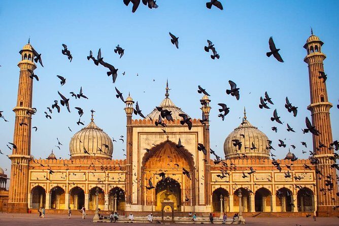 Full day Delhi tour with a Local - Private Delhi Day Tour - Authenticing the Experience with Review Insights
