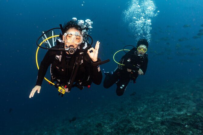 Full-Day Discover Scuba Diving Tour for Beginners in Tulamben - Key Points