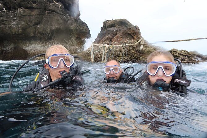 Full Day Diving Activity in Thailand with Lunch - Key Points